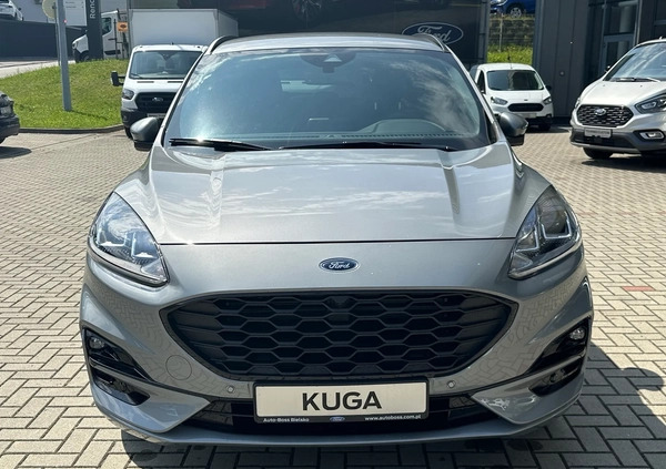 Ford Kuga cena 129900 przebieg: 1, rok produkcji 2022 z Braniewo małe 79